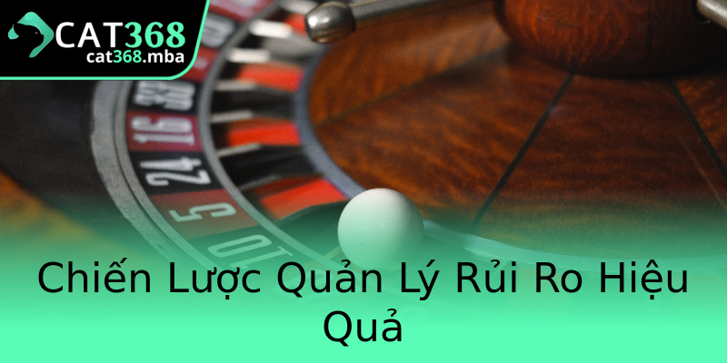 Chiến Lược Quản Lý Rủi Ro Hiệu Quả Chiến Lược Quản Lý Rủi Ro Hiệu Quả