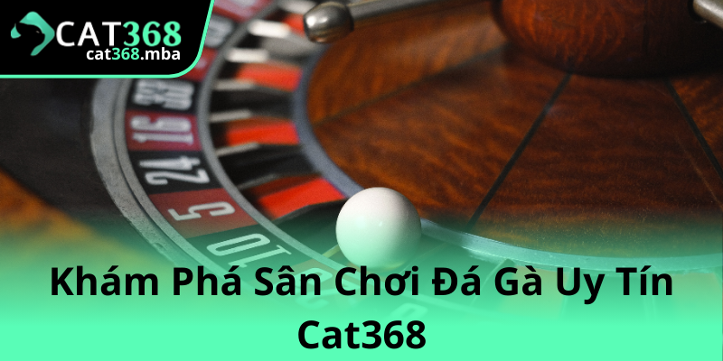 Khám Phá Đá Gà Đỉnh Cao Và Nền Tảng Cat368 - Sân Chơi Thú Vị Năm 2025 1 Kham Pha San Choi Da Ga Uy Tin Cat368