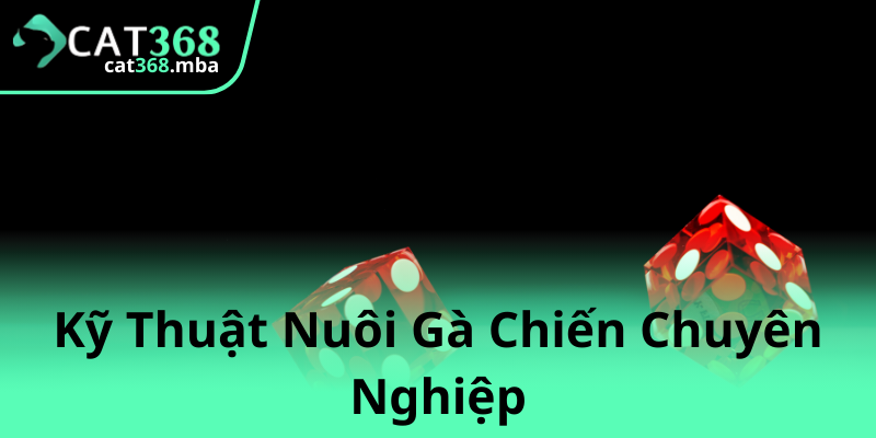 Khám Phá Đá Gà Đỉnh Cao Và Nền Tảng Cat368 - Sân Chơi Thú Vị Năm 2025 2 Ky Thuat Nuoi Ga Chien Chuyen Nghiep 1