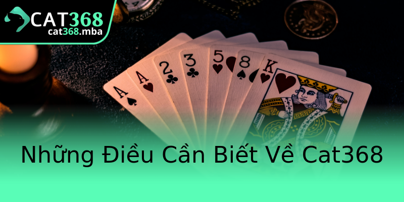 Những Điều Cần Biết Về Cat368 Những Điều Cần Biết Về Cat368