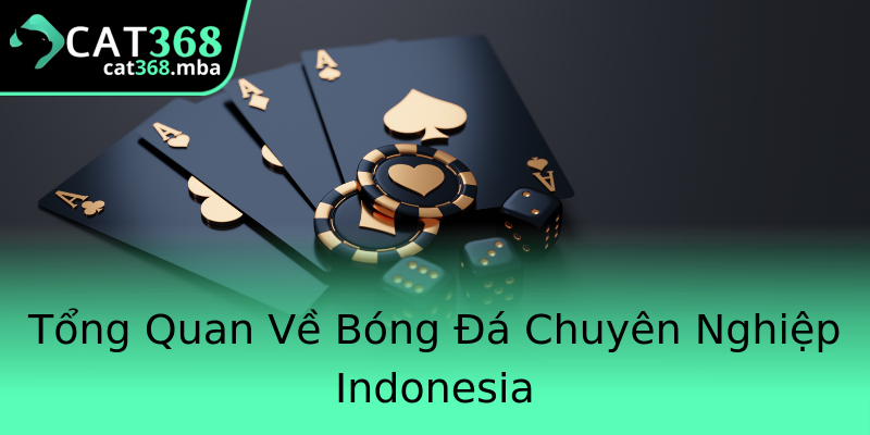 Tổng Quan Về Bóng Đá Chuyên Nghiệp Indonesia Tổng Quan Về Bóng Đá Chuyên Nghiệp Indonesia
