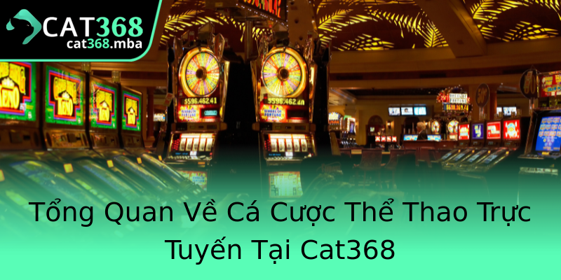 Tổng Quan Về Cá Cược Thể Thao Trực Tuyến Tại Cat368 Tổng Quan Về Cá Cược Thể Thao Trực Tuyến Tại Cat368