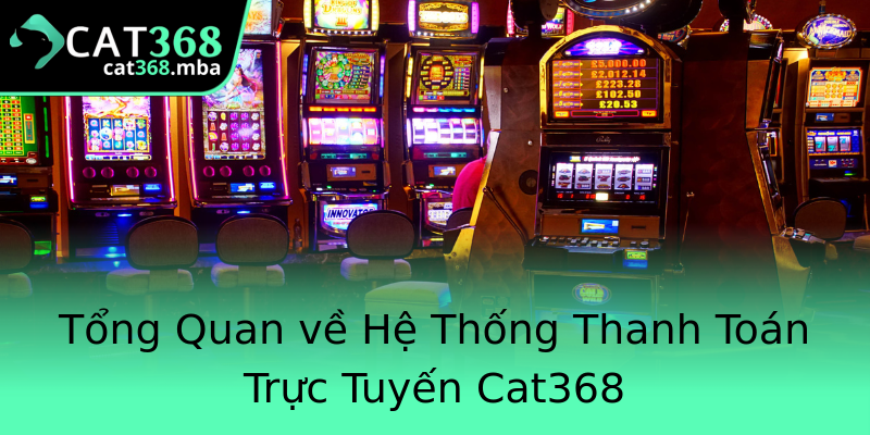 Tổng Quan về Hệ Thống Thanh Toán Trực Tuyến Cat368 Tổng Quan về Hệ Thống Thanh Toán Trực Tuyến Cat368