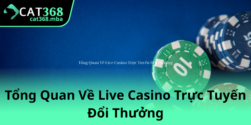Khám Phá Live Casino Cùng Cat368 Nhấn Mạnh Tính Chuyên Nghiệp Và An Toàn 1 Tong Quan Ve Live Casino Truc Tuyen Doi Thuong
