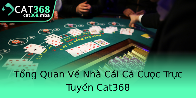 Tổng Quan Về Nhà Cái Cá Cược Trực Tuyến Cat368 Tổng Quan Về Nhà Cái Cá Cược Trực Tuyến Cat368