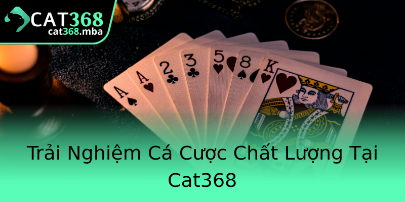 Trải Nghiệm Cá Cược Chất Lượng Tại Cat368 Trải Nghiệm Cá Cược Chất Lượng Tại Cat368