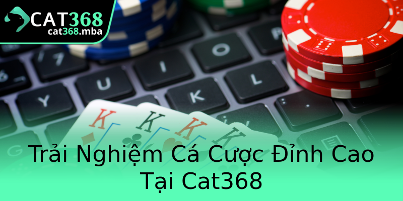 Trải Nghiệm Cá Cược Đỉnh Cao Tại Cat368 Trải Nghiệm Cá Cược Đỉnh Cao Tại Cat368